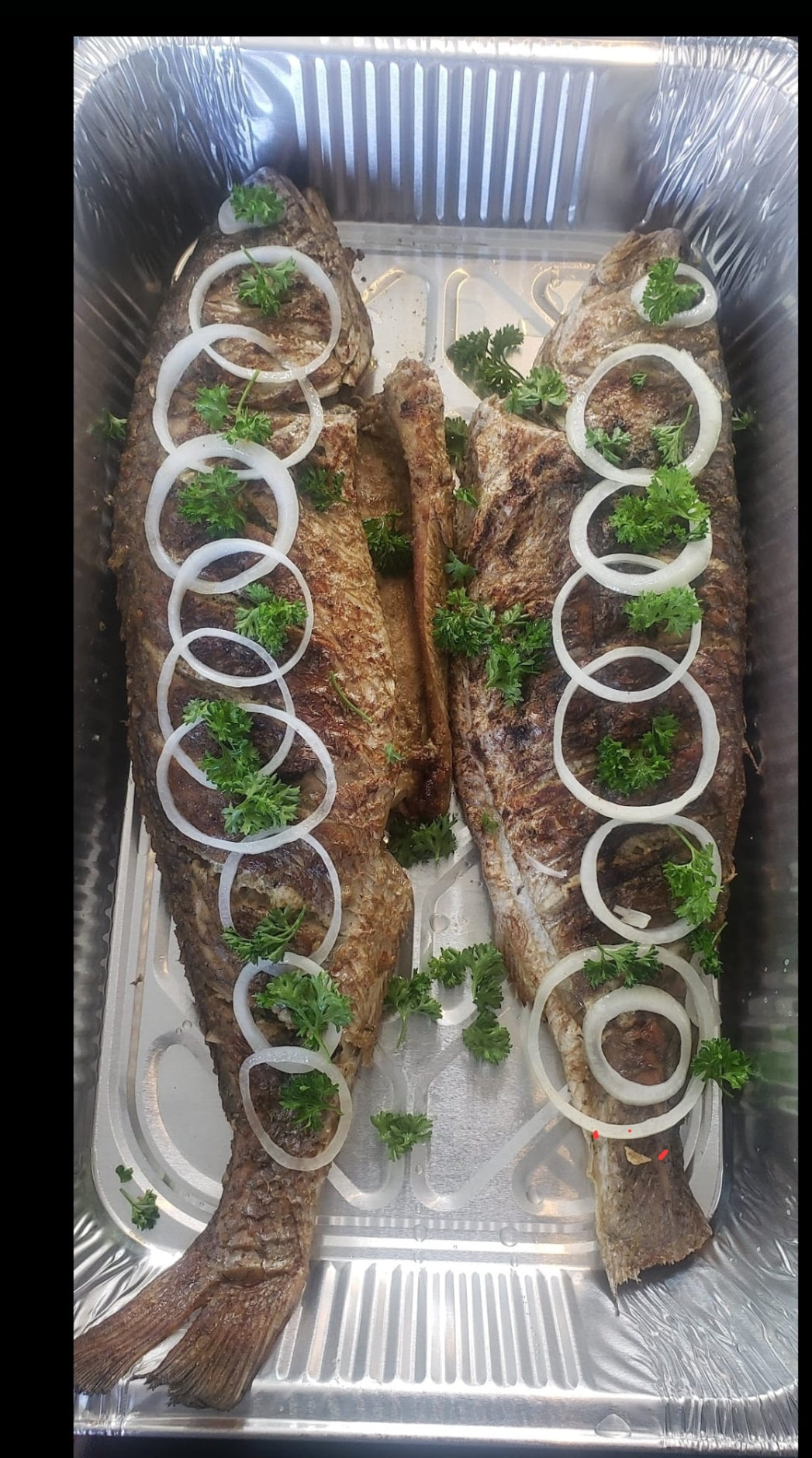 Grilled drum fishwith plaintains and LadyD sauces